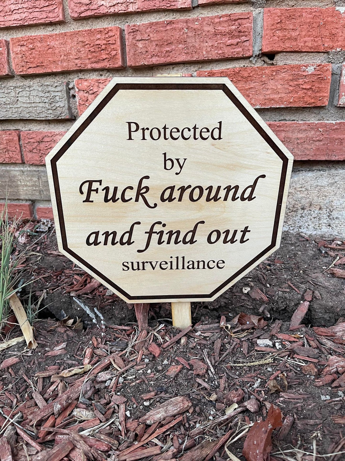 Humorous Home Security Sign - Deter Intruders with Wit and Style - Protected by Fuck around and find out surveillance